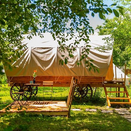 Hotel Dragonfly Gardens - The Wagons Braşov Esterno foto