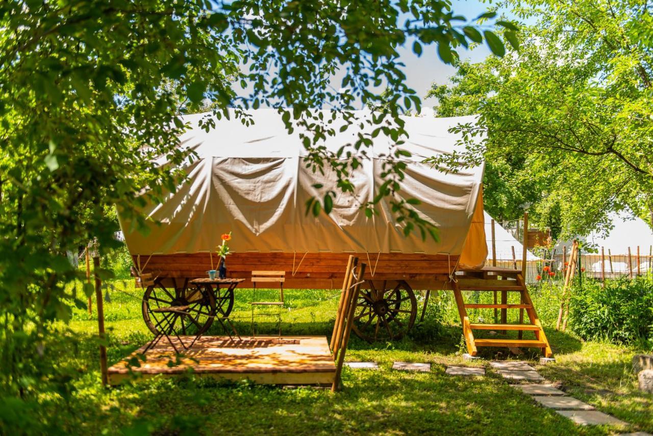 Hotel Dragonfly Gardens - The Wagons Braşov Esterno foto