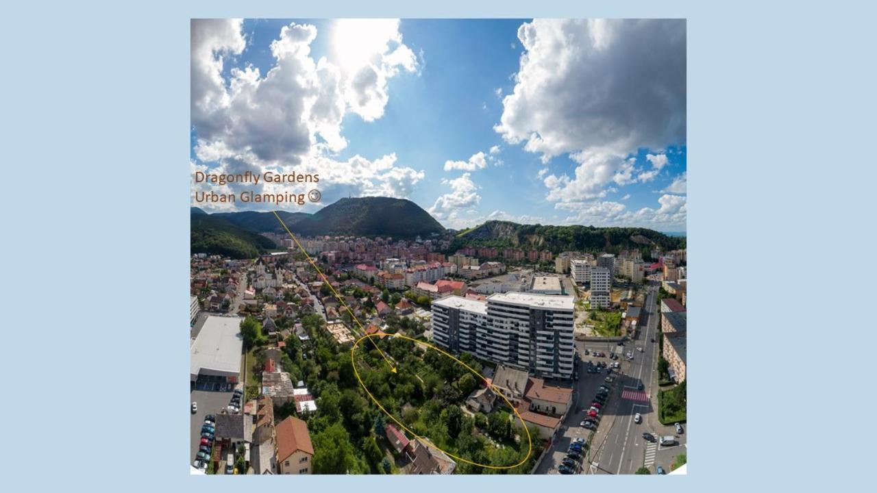 Hotel Dragonfly Gardens - The Wagons Braşov Esterno foto