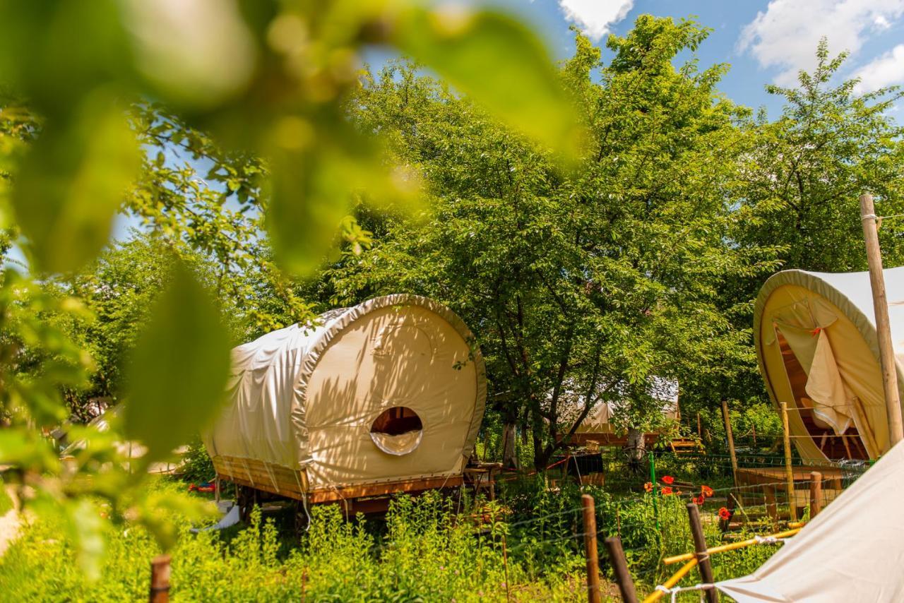Hotel Dragonfly Gardens - The Wagons Braşov Esterno foto