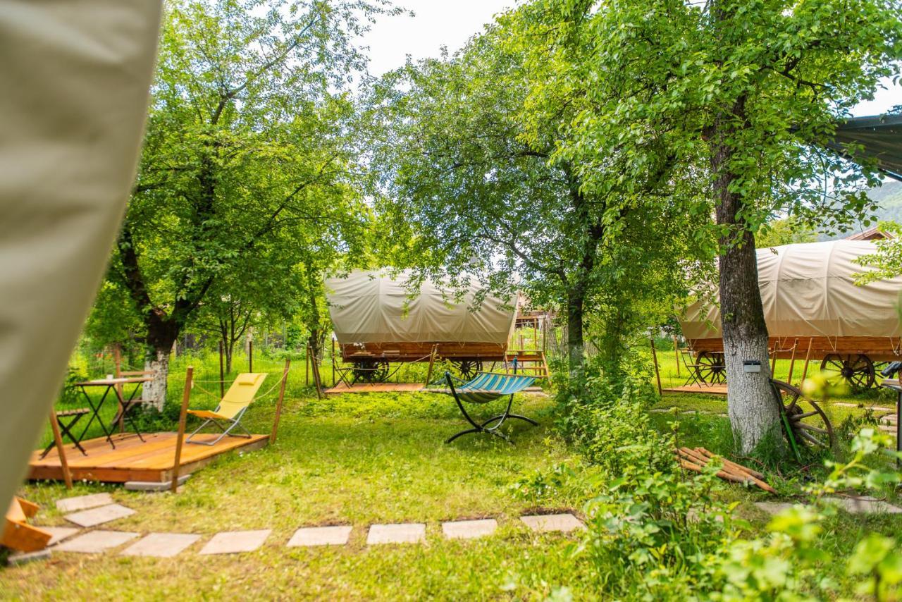 Hotel Dragonfly Gardens - The Wagons Braşov Esterno foto