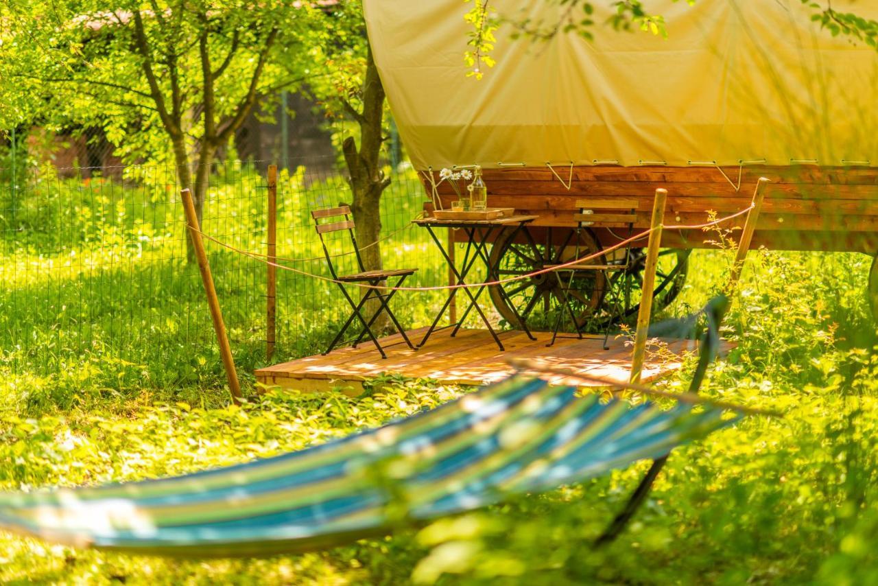 Hotel Dragonfly Gardens - The Wagons Braşov Esterno foto