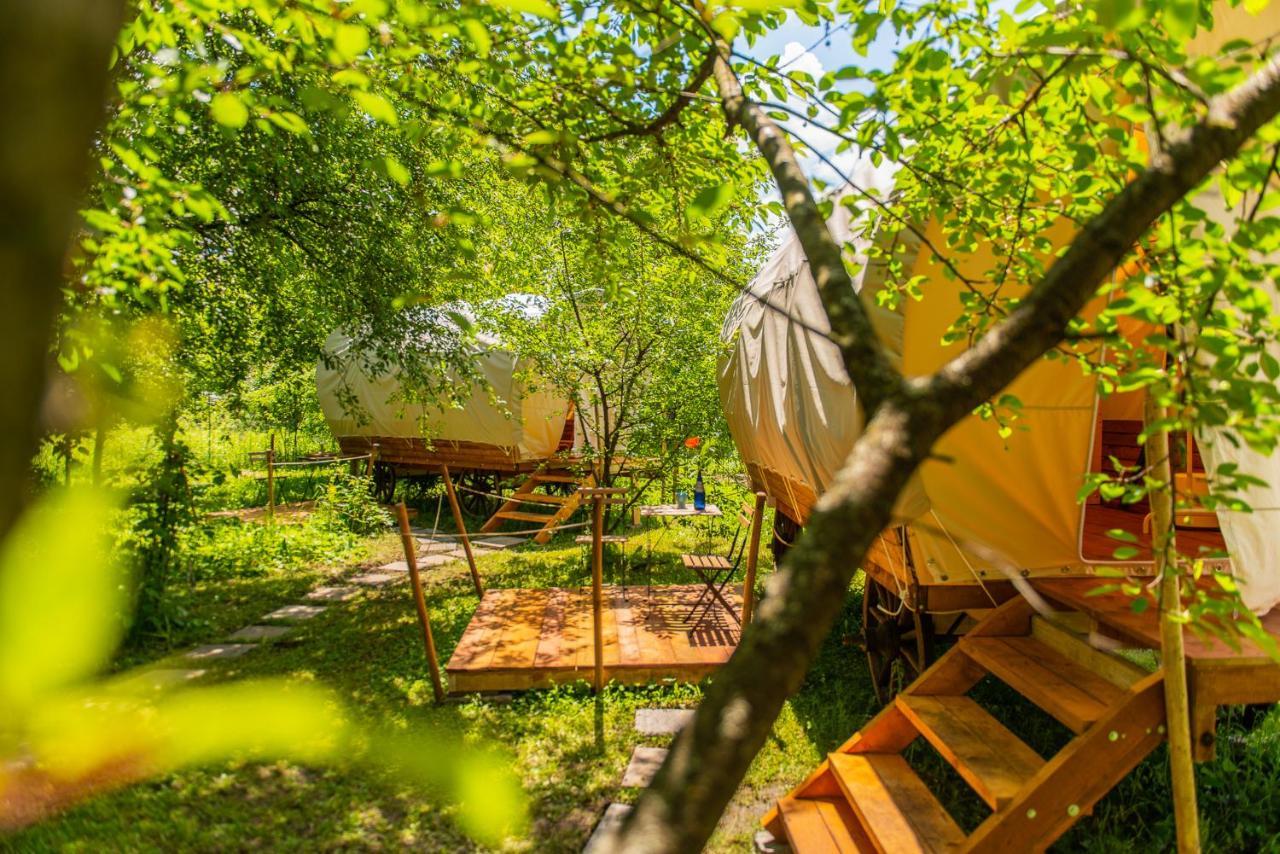 Hotel Dragonfly Gardens - The Wagons Braşov Esterno foto