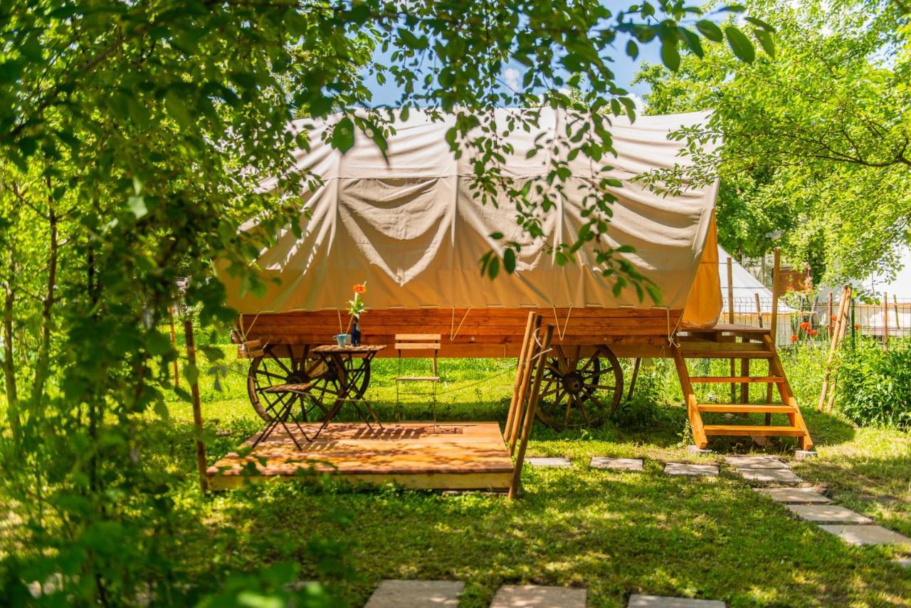 Hotel Dragonfly Gardens - The Wagons Braşov Esterno foto