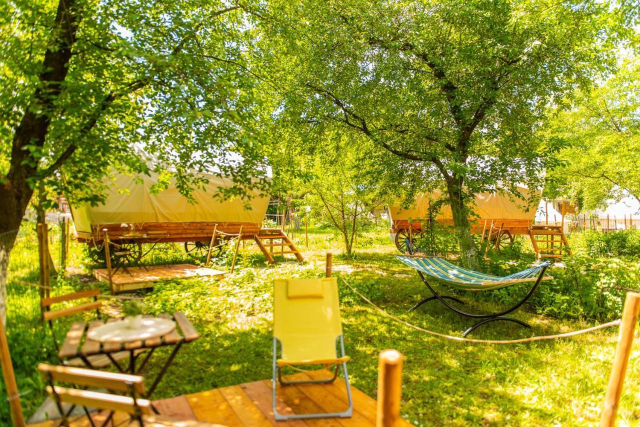 Hotel Dragonfly Gardens - The Wagons Braşov Esterno foto
