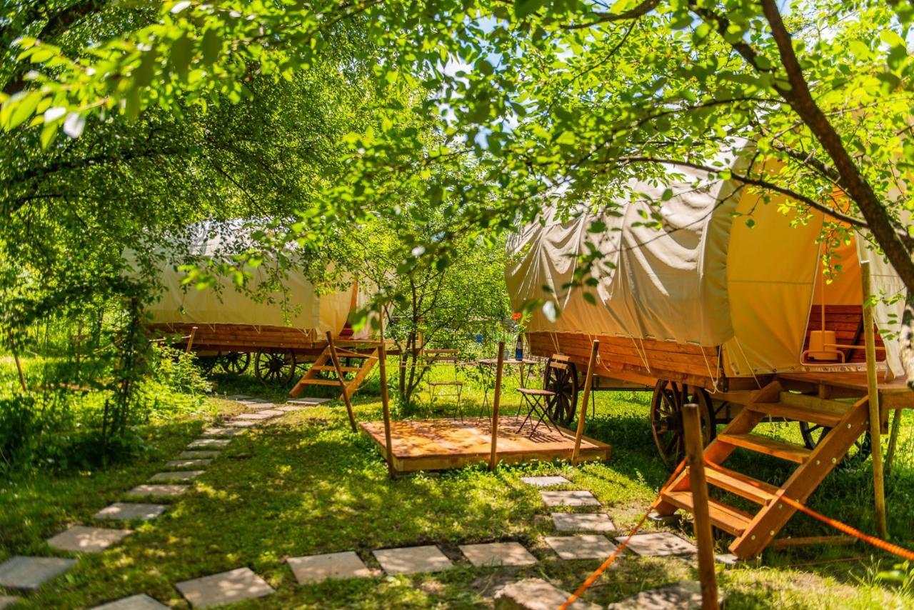 Hotel Dragonfly Gardens - The Wagons Braşov Esterno foto
