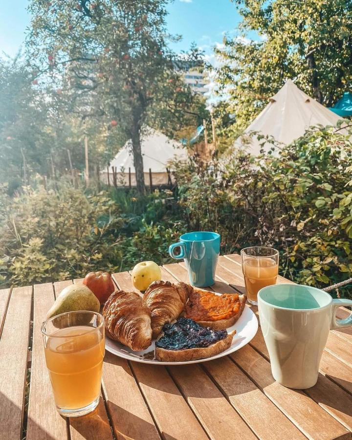 Hotel Dragonfly Gardens - The Wagons Braşov Esterno foto
