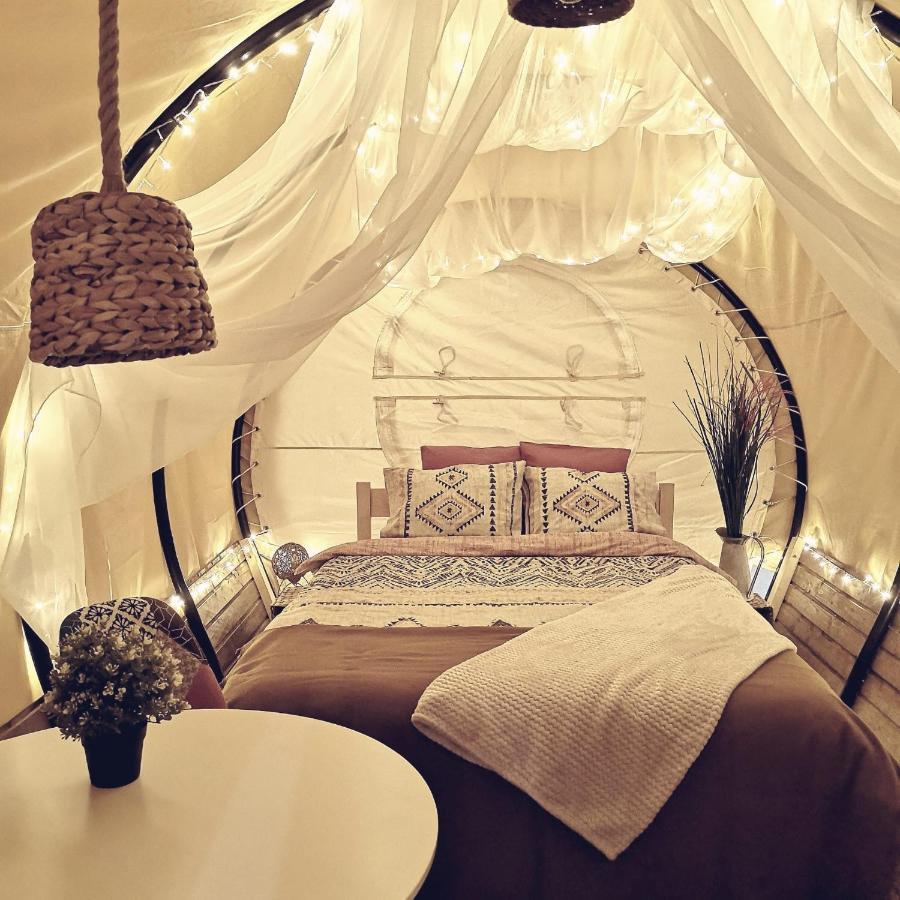 Hotel Dragonfly Gardens - The Wagons Braşov Esterno foto