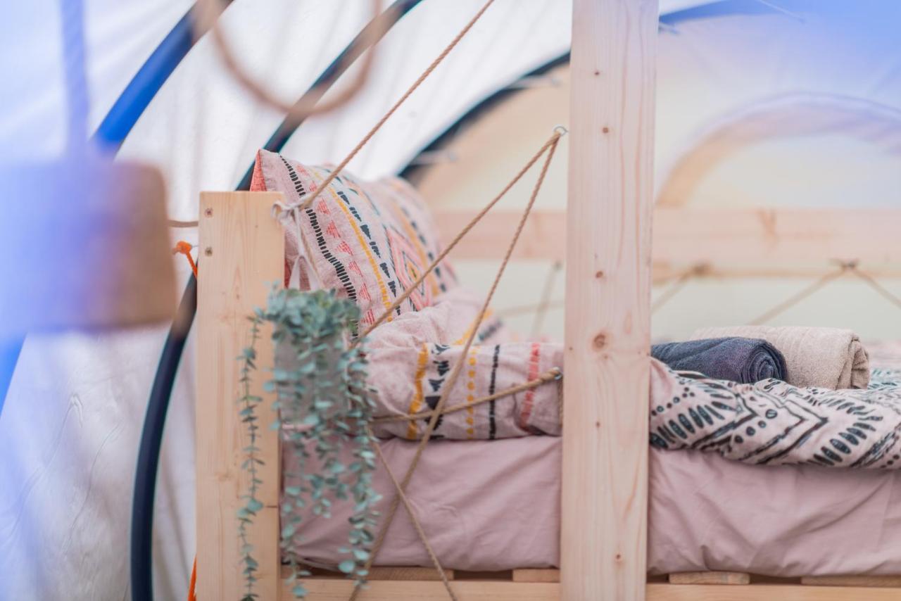 Hotel Dragonfly Gardens - The Wagons Braşov Esterno foto
