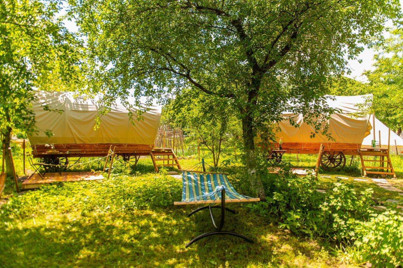 Hotel Dragonfly Gardens - The Wagons Braşov Esterno foto