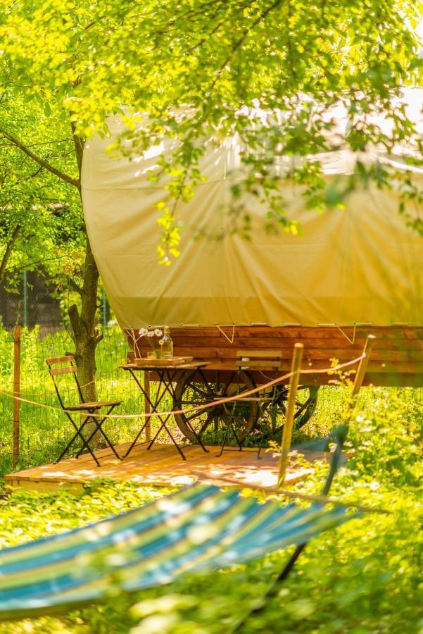 Hotel Dragonfly Gardens - The Wagons Braşov Esterno foto