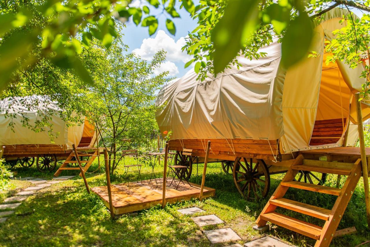 Hotel Dragonfly Gardens - The Wagons Braşov Esterno foto