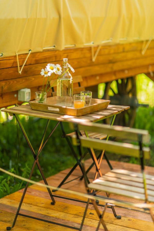 Hotel Dragonfly Gardens - The Wagons Braşov Esterno foto