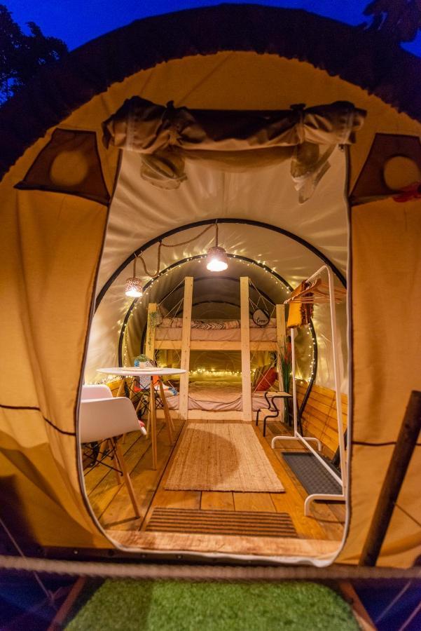 Hotel Dragonfly Gardens - The Wagons Braşov Esterno foto