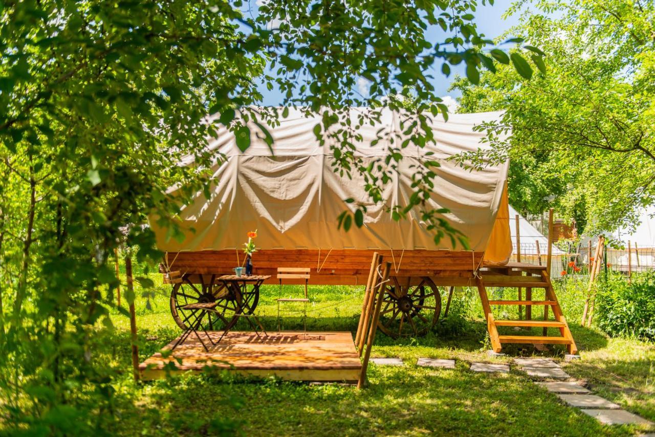 Hotel Dragonfly Gardens - The Wagons Braşov Esterno foto