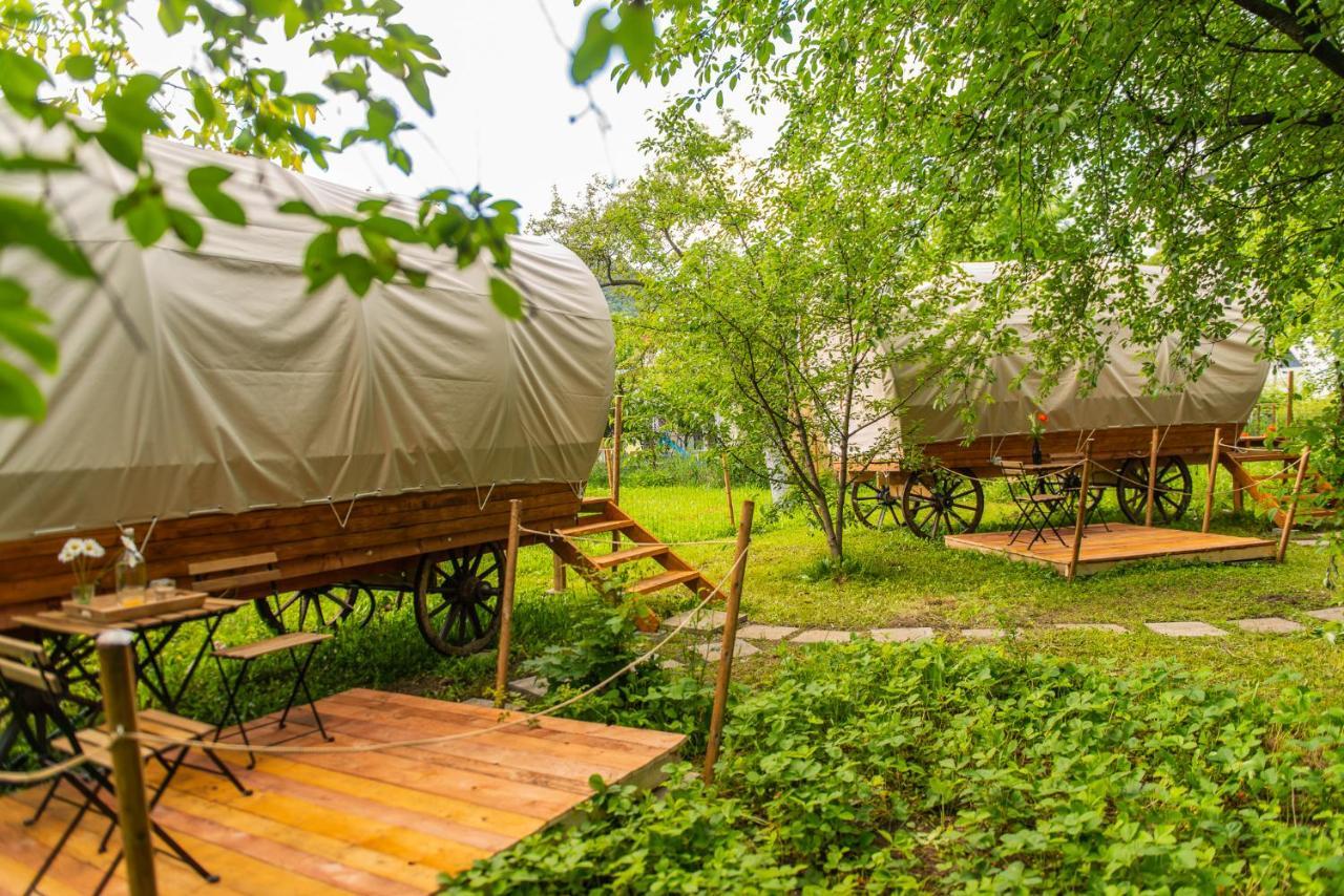 Hotel Dragonfly Gardens - The Wagons Braşov Esterno foto
