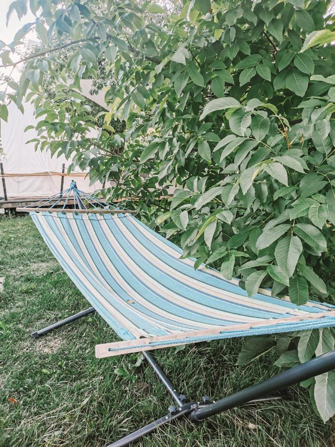 Hotel Dragonfly Gardens - The Wagons Braşov Esterno foto