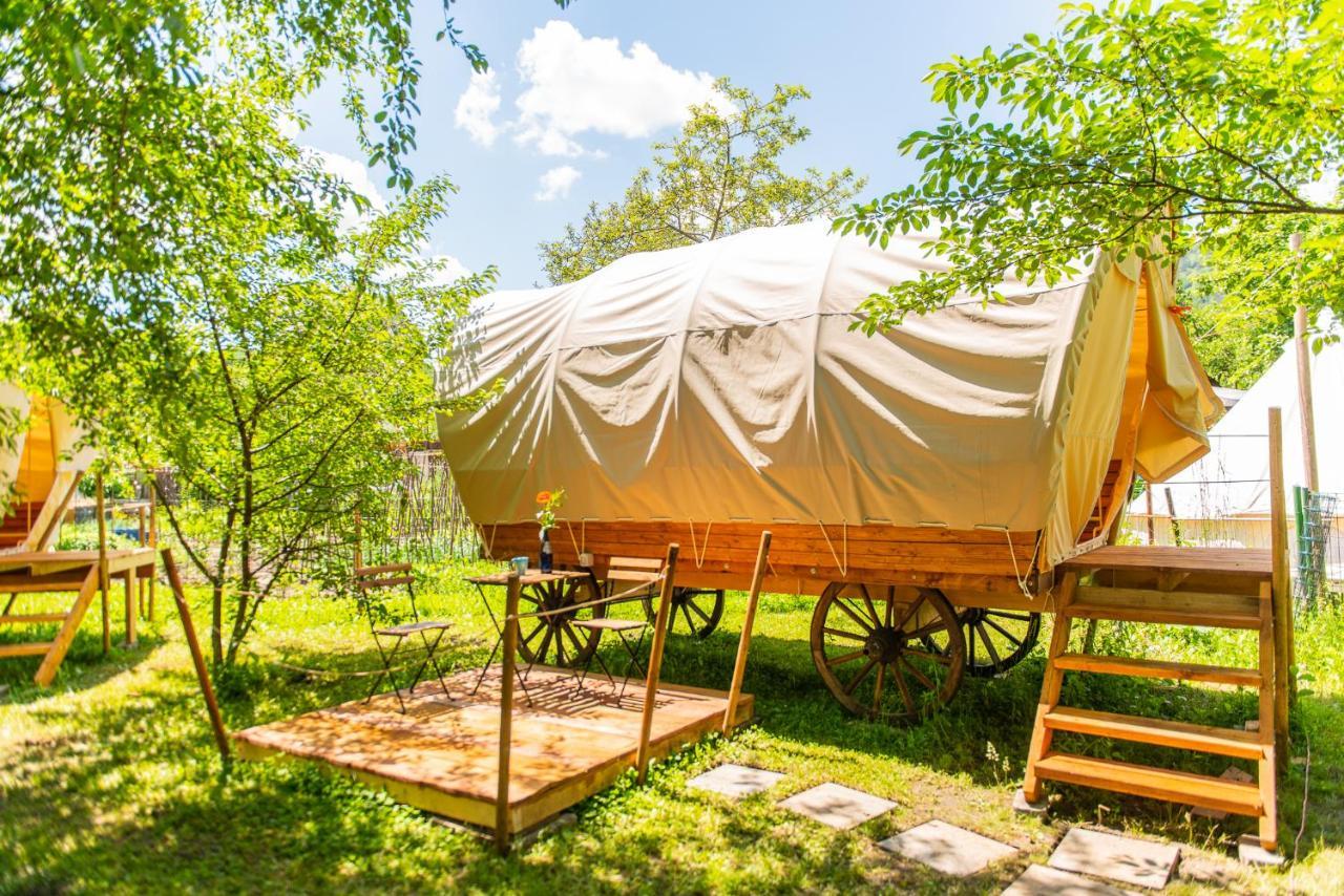 Hotel Dragonfly Gardens - The Wagons Braşov Esterno foto