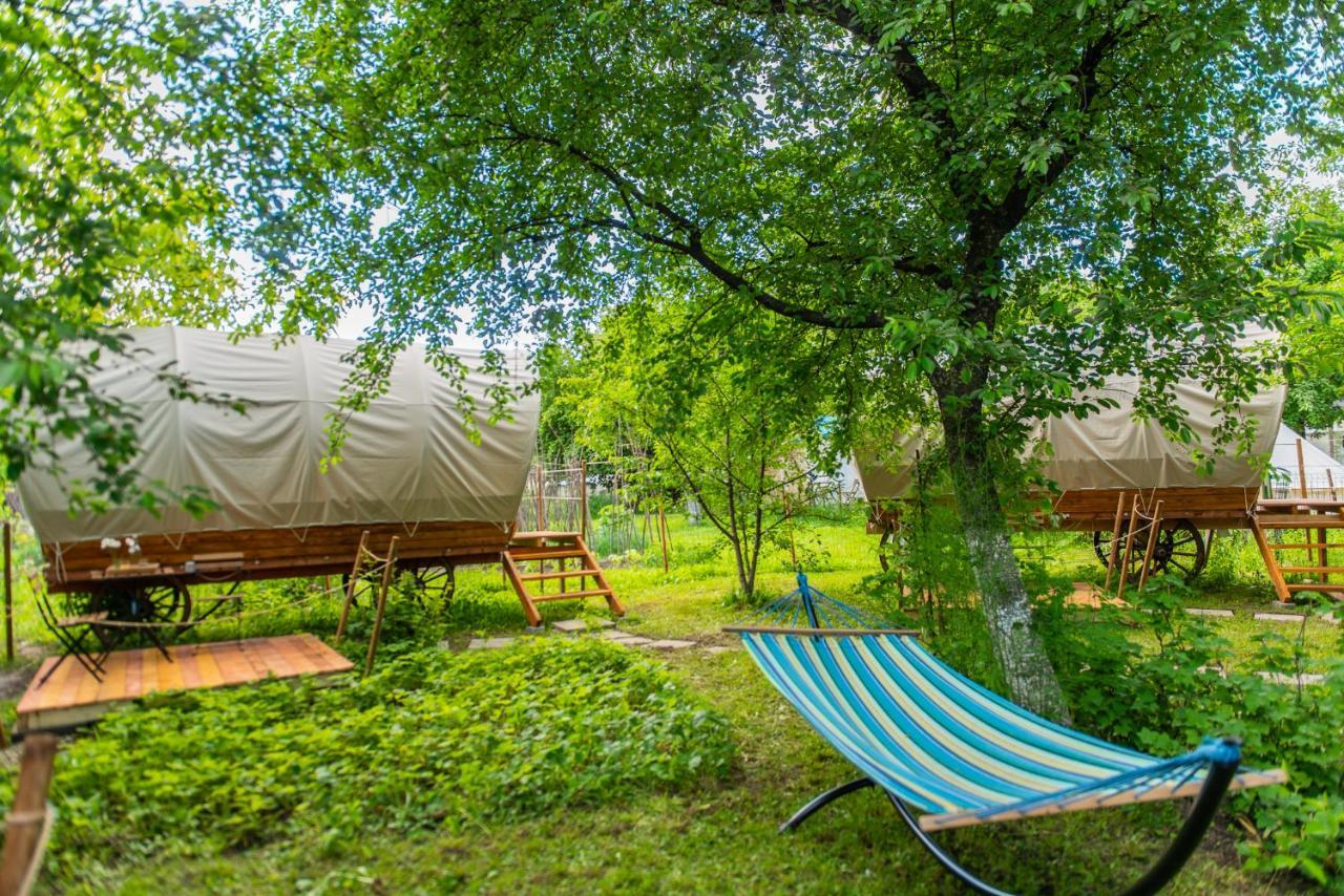 Hotel Dragonfly Gardens - The Wagons Braşov Esterno foto