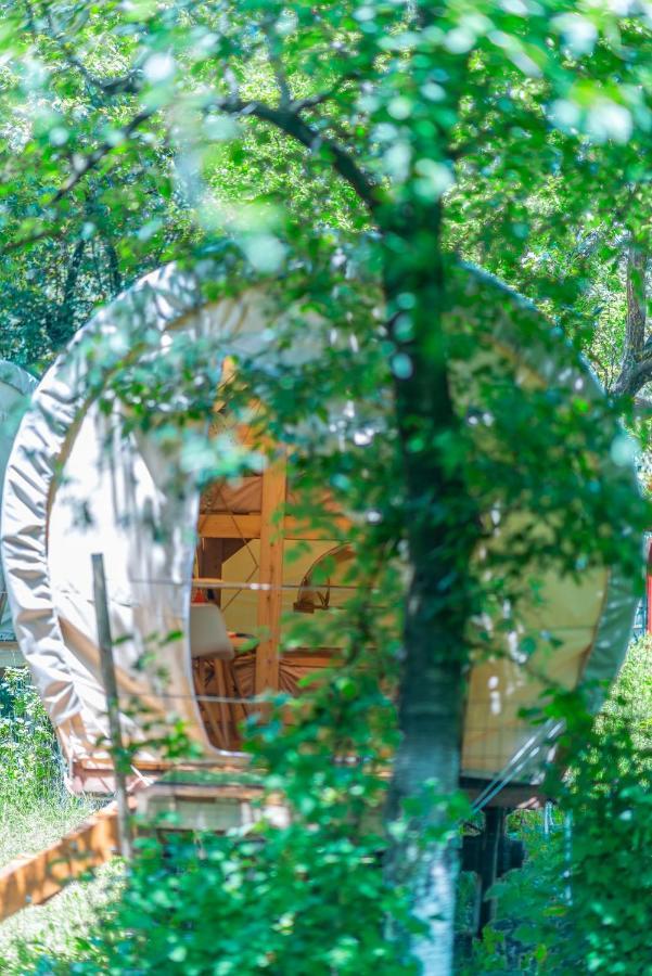 Hotel Dragonfly Gardens - The Wagons Braşov Esterno foto
