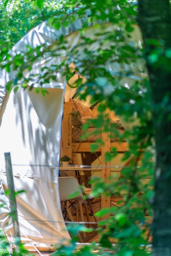 Hotel Dragonfly Gardens - The Wagons Braşov Esterno foto