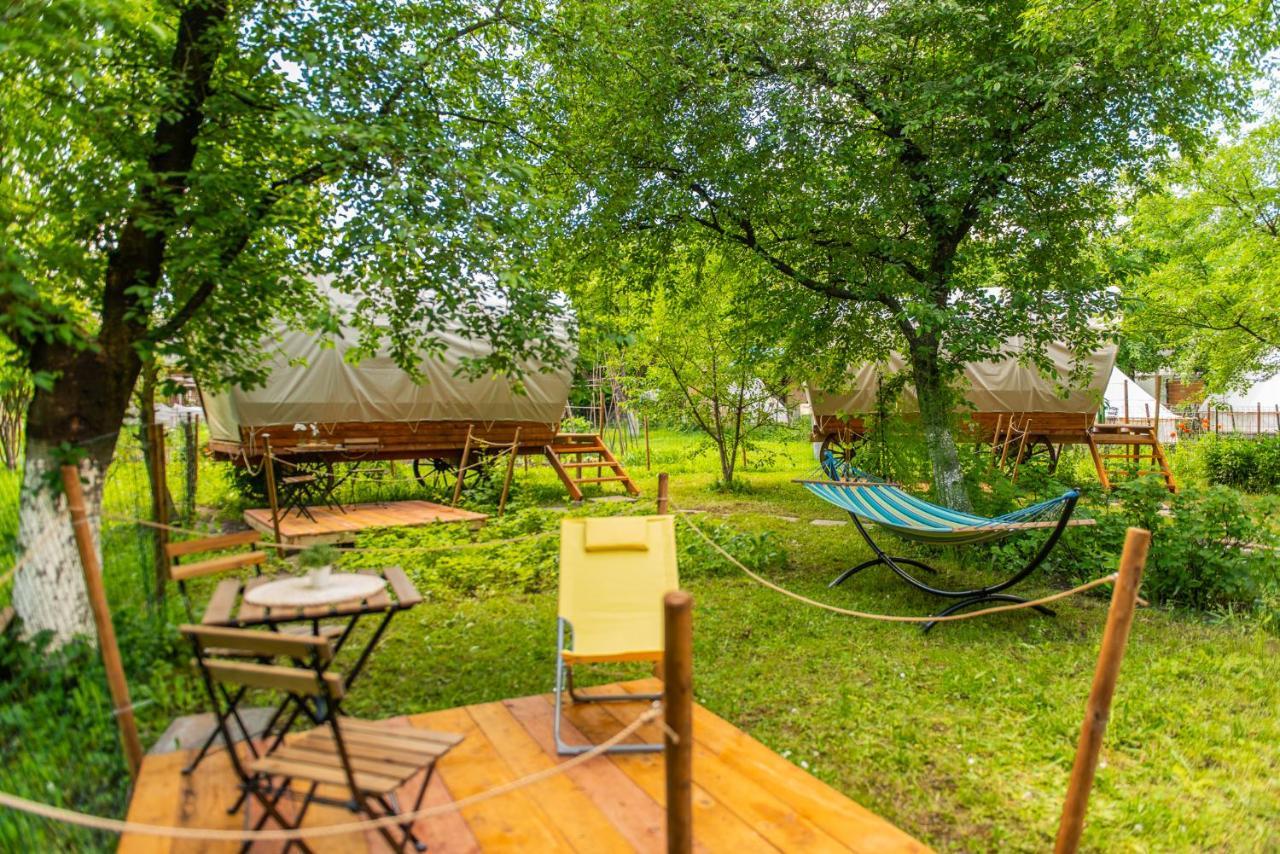 Hotel Dragonfly Gardens - The Wagons Braşov Esterno foto