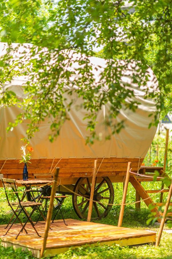 Hotel Dragonfly Gardens - The Wagons Braşov Esterno foto