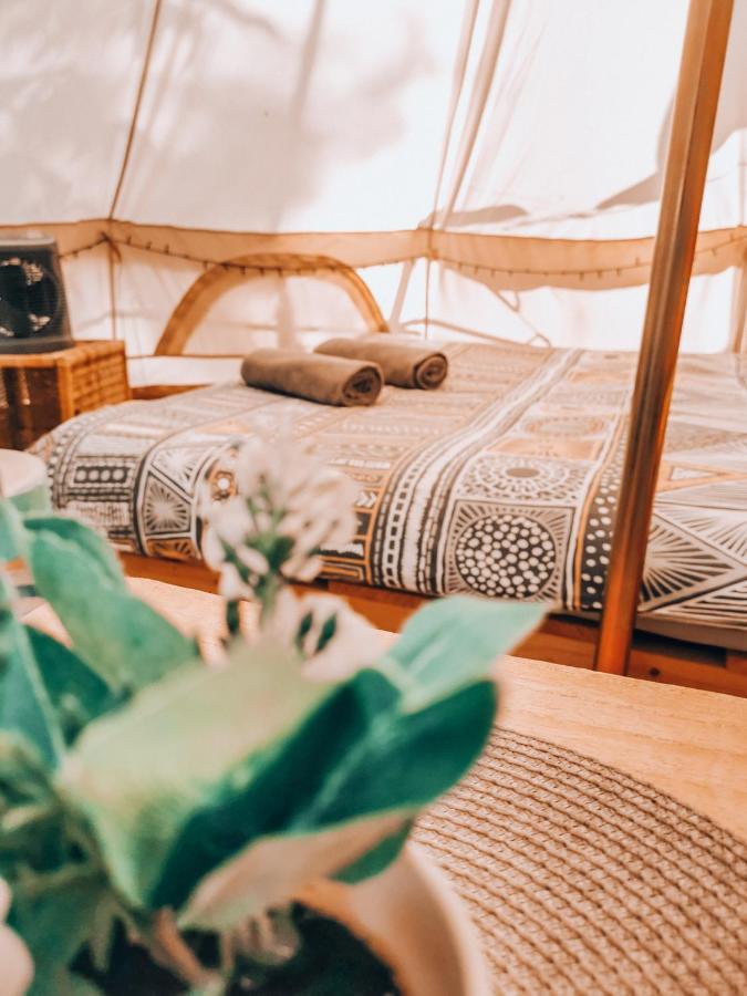 Hotel Dragonfly Gardens - The Wagons Braşov Esterno foto