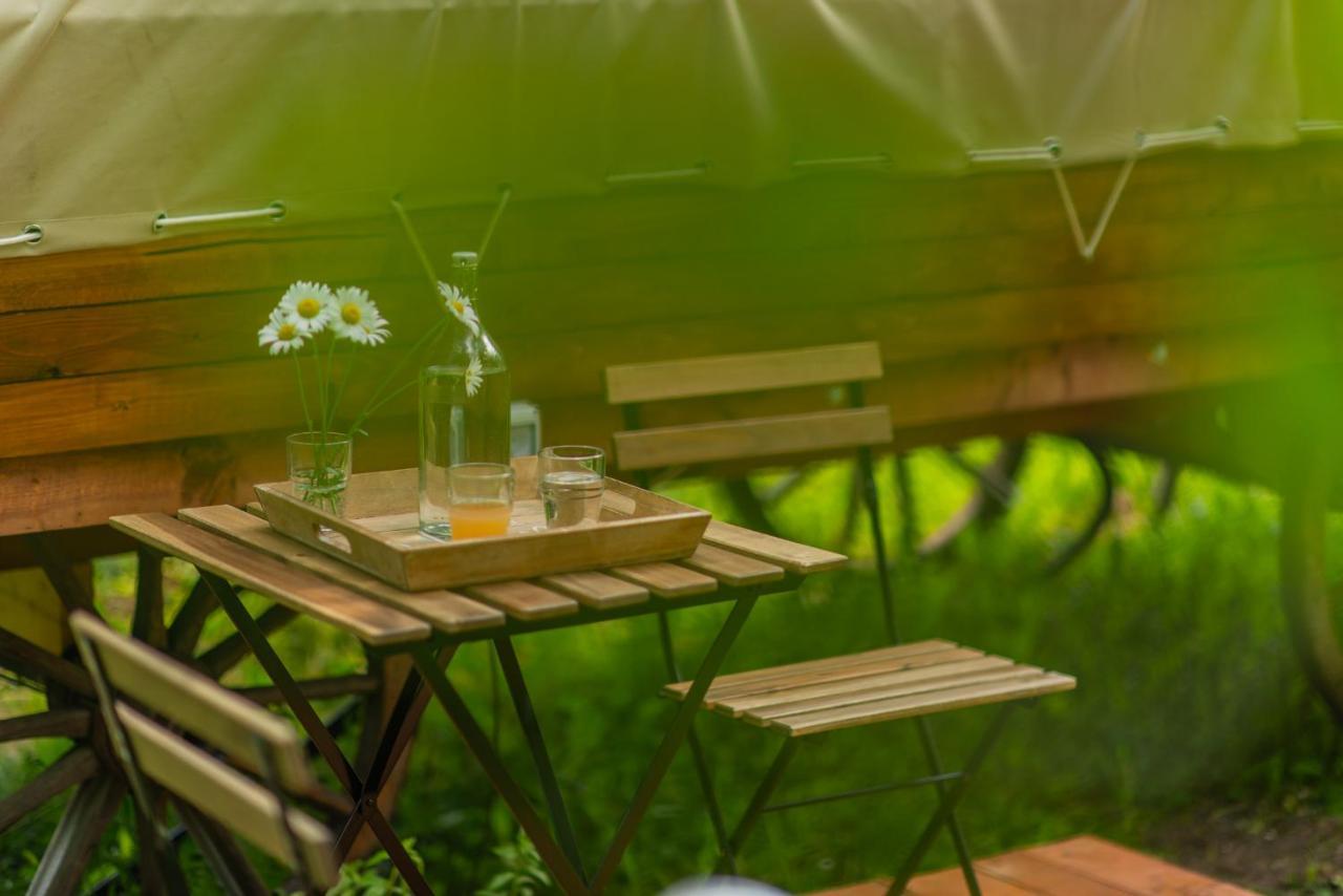 Hotel Dragonfly Gardens - The Wagons Braşov Esterno foto