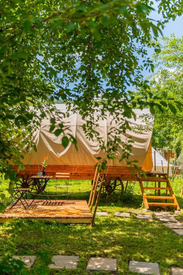 Hotel Dragonfly Gardens - The Wagons Braşov Esterno foto