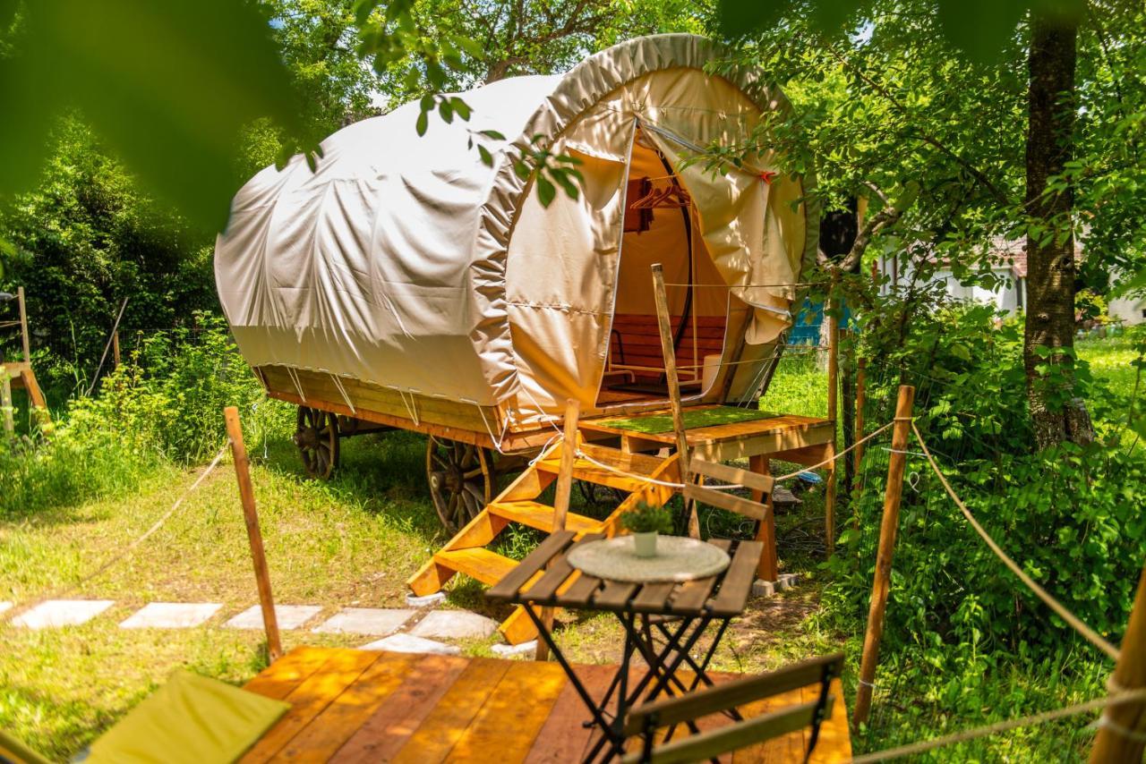 Hotel Dragonfly Gardens - The Wagons Braşov Esterno foto