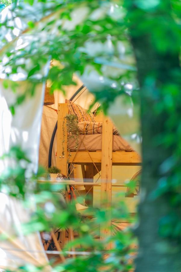 Hotel Dragonfly Gardens - The Wagons Braşov Esterno foto