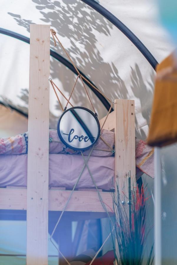 Hotel Dragonfly Gardens - The Wagons Braşov Esterno foto