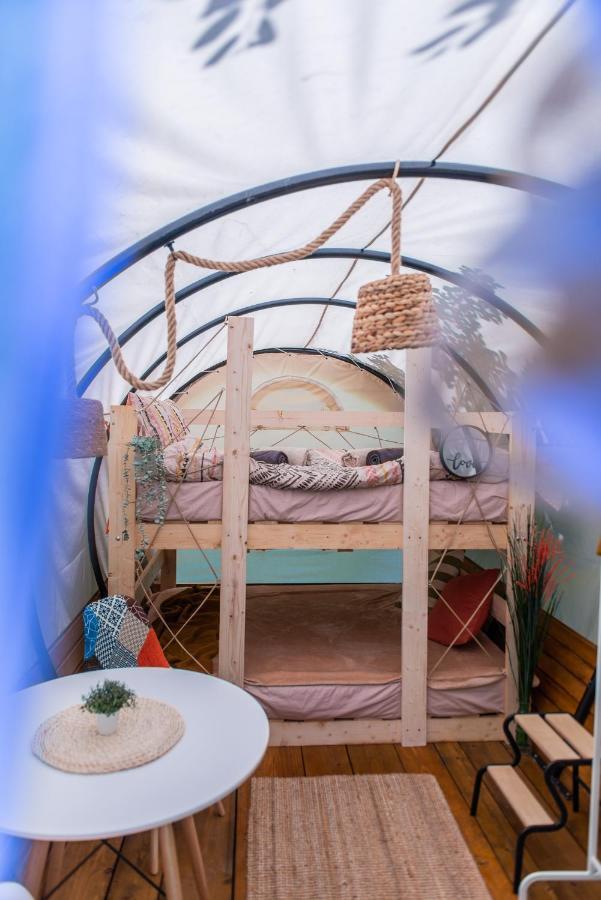 Hotel Dragonfly Gardens - The Wagons Braşov Esterno foto