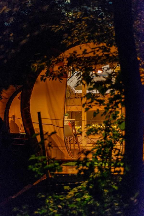 Hotel Dragonfly Gardens - The Wagons Braşov Esterno foto