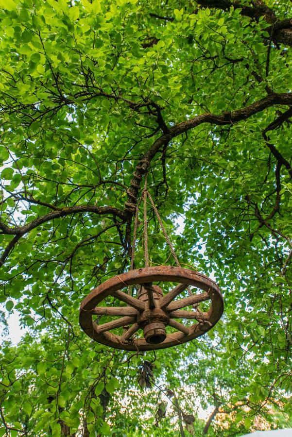 Hotel Dragonfly Gardens - The Wagons Braşov Esterno foto