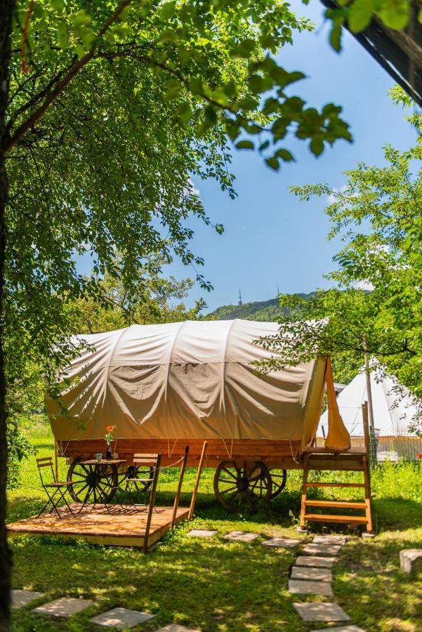 Hotel Dragonfly Gardens - The Wagons Braşov Esterno foto