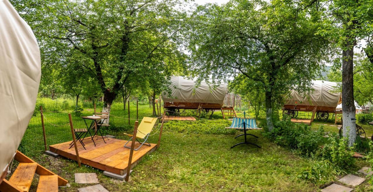 Hotel Dragonfly Gardens - The Wagons Braşov Esterno foto